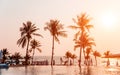 Beautiful tropical beach with palm trees. Sunrises and sunsets. Ocean. Royalty Free Stock Photo