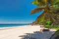 Beautiful tropical beach with palms