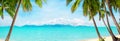 Beautiful Tropical Beach Panorama, Exotic Island Panoramic View, Turquoise Sea Water, Ocean Waves, Sand, Green Palm Tree Leaves