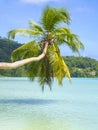 Beautiful tropical beach in Seychelles