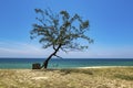 Beautiful tropical beach, soft wave hitting sandy beach under bright sunny day Royalty Free Stock Photo