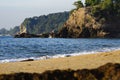 Beautiful tropical beach, soft wave hitting sandy beach under brighter sunny day Royalty Free Stock Photo