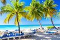 Beautiful tropical beach with sun loungers and palms. Saona Island, Dominican Republic. Caribbean resort. Vacation travel Royalty Free Stock Photo