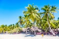 Beautiful tropical beach with sun loungers and palms. Saona Island, Dominican Republic. Caribbean resort. Vacation travel Royalty Free Stock Photo