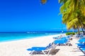 Beautiful tropical beach with sun loungers and palms. Saona Island, Dominican Republic. Caribbean resort. Vacation travel Royalty Free Stock Photo