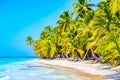 Beautiful tropical beach with sun loungers and palms. Saona Island, Dominican Republic. Caribbean resort. Vacation travel Royalty Free Stock Photo