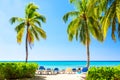 Beautiful tropical beach with sun loungers and palms. Saona Island, Dominican Republic. Caribbean resort. Vacation travel Royalty Free Stock Photo