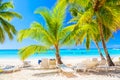 Beautiful tropical beach with sun loungers and palms. Saona Island, Dominican Republic. Caribbean resort. Vacation travel Royalty Free Stock Photo