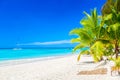 Beautiful tropical beach with sun loungers and palms. Saona Island, Dominican Republic. Caribbean resort. Vacation travel Royalty Free Stock Photo