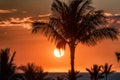 Beautiful tropical beach sunset scene with palm tree silhouette and red sky. Royalty Free Stock Photo