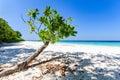 Beautiful tropical beach, white sand and blue sky background. Royalty Free Stock Photo