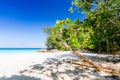 Beautiful tropical beach, white sand and blue sky background. Royalty Free Stock Photo