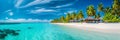Escape to Paradise: Idyllic Maldives Tropical Beach with Palm Tree and Turquoise Ocean, generative AI
