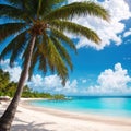 Beautiful tropical beach with white sand, turquoise ocean on background blue sky with clouds Royalty Free Stock Photo