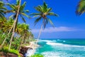 Beautiful tropical beaches of Sri Lanka