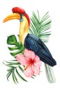 Beautiful tropical bird, horn bird, flower and palm leaf watercolor isolated summer nature drawing, Exotic flora design Royalty Free Stock Photo