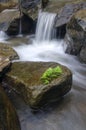 Beautiful tropical cascaded river flowing through