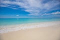 Exotic seascape shore. Beautiful sea sand sky waves of deserted Indian ocean sandy beach, Maldives. Idyllic summer nature