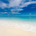 Exotic seascape shore. Beautiful sea sand sky waves of deserted Indian ocean sandy beach, Maldives. Idyllic summer nature