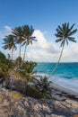 Beautiful tropical coastline with palm trees and cliffs Royalty Free Stock Photo
