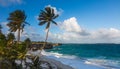 Beautiful tropical coastline with palm trees and cliffs Royalty Free Stock Photo