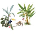 Beautiful tropical composition with hand drawn watercolor exotic jungle palm trees and animals. Toucan and monkey. Stock