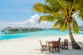 Beautiful tropical dining place under the palm tree at the beach