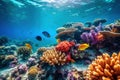 Beautiful tropical fish, coral reef.wallpaper Royalty Free Stock Photo