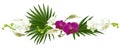 Beautiful tropical flowers. Green leaves. White and lilac orchids. Floral background. Anthurium. Spathiphyllum.