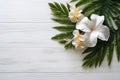 Beautiful tropical flowers and palm leaves on white wooden background Royalty Free Stock Photo