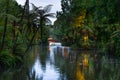 Pukekura park, New Plymouth Taranaki, North Island New Zealand during Festival of Lights Royalty Free Stock Photo