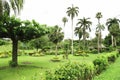 Beautiful tropical garden with palm trees and flowers