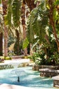 Beautiful tropical garden with a pool with a fountain