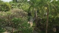 Beautiful tropical garden on site Resort Intime Sanya 5 in Dadonghai bay stock footage video