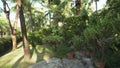 Beautiful tropical garden on site Resort Intime Sanya 5 unfocused stock footage video