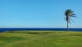 Beautiful tropical golf course fairway at the edge of the Atlantic Ocean, Tenerife, Canary Islands, Spain Royalty Free Stock Photo