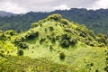 Green hill overgrown with a lush tropical emerald rainforest near Fijian Savusavu town, Vanua Levu Island,Fiji, Melanesia, Oceania Royalty Free Stock Photo