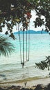 Beautiful tropical island beach with coconut palm trees and swing under trees. Swing hang on big tree over beach sea Royalty Free Stock Photo