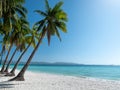 Beautiful tropical island beach with palm tree and tranquil blue water