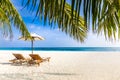Tropical couple beach nature as summer landscape with lounge chairs and palm trees and calm sea beach banner. Luxurious travel Royalty Free Stock Photo