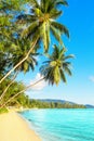 Beautiful tropical island sea beach landscape, turquoise ocean water, yellow sand, sun blue sky white cloud, palm trees Royalty Free Stock Photo