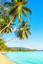 Beautiful tropical island sea beach landscape, turquoise ocean water, yellow sand, sun blue sky white cloud, palm trees Royalty Free Stock Photo