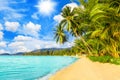 Beautiful tropical island sea beach landscape, turquoise ocean water, yellow sand, sun blue sky white cloud, palm trees Royalty Free Stock Photo