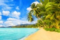 Beautiful tropical island sea beach landscape, turquoise ocean water, yellow sand, sun blue sky white cloud, palm trees Royalty Free Stock Photo