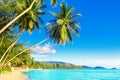 Beautiful tropical island sea beach landscape, turquoise ocean water, yellow sand, sun blue sky white cloud, palm trees Royalty Free Stock Photo
