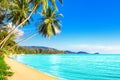 Beautiful tropical island sea beach landscape, turquoise ocean water, yellow sand, sun blue sky white cloud, palm trees Royalty Free Stock Photo