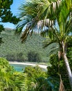 Beautiful tropical island view of North Bay Beach on Lord Howe Island, New South Wales, Australia, seen through subtropical forest
