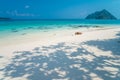 Beautiful tropical island white sand beach blue sky sunny day - Royalty Free Stock Photo