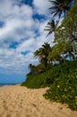 Beautiful tropical Kaanapali Beach in Maui Hawaii Royalty Free Stock Photo