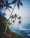 Beautiful tropical landscape, blue ocean and tall palms. Sri Lanka island. Vertical image Royalty Free Stock Photo